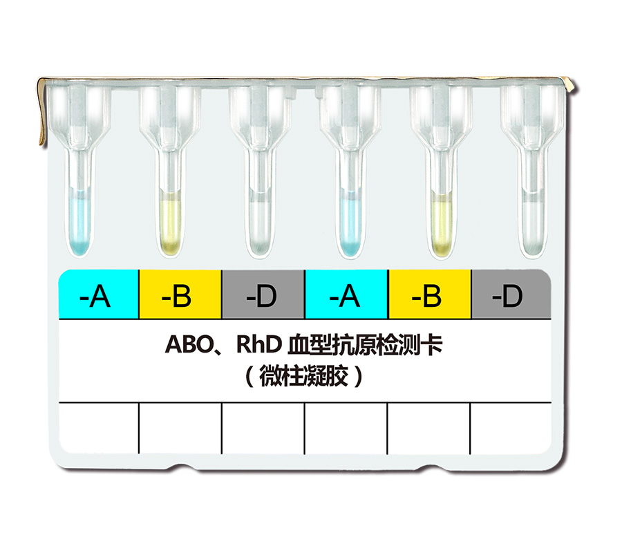 ABO.RhD血型抗原-反面